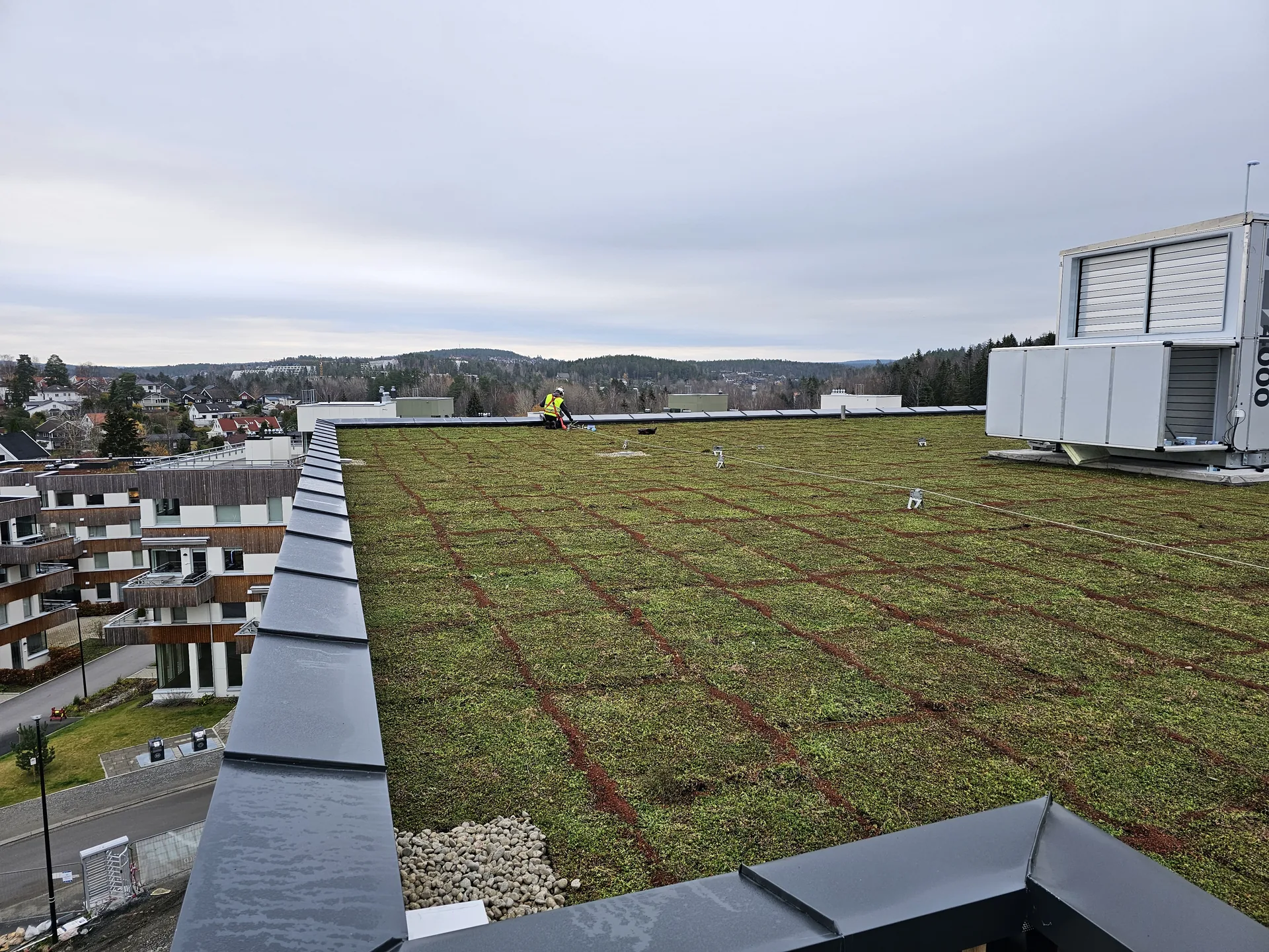 Gesimsbeslag rundt grønt sedumtak på leilighetsbygg